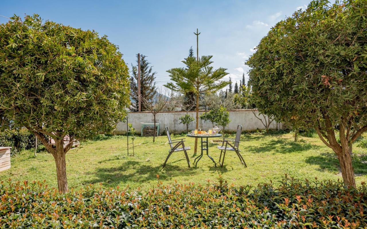 Eleni'S Cozy Apartment In Tsilivi Gaitani Екстериор снимка